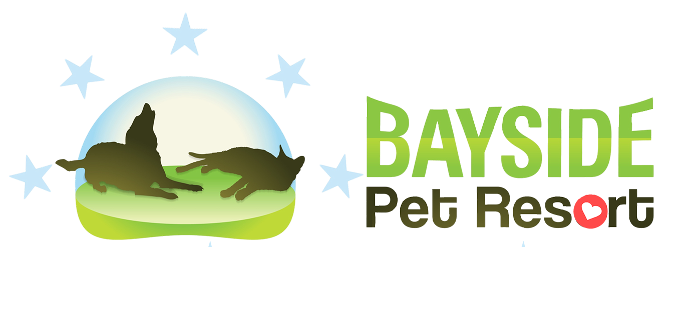 Top 10 Best Dog Groomers in Venice FL Angie's List