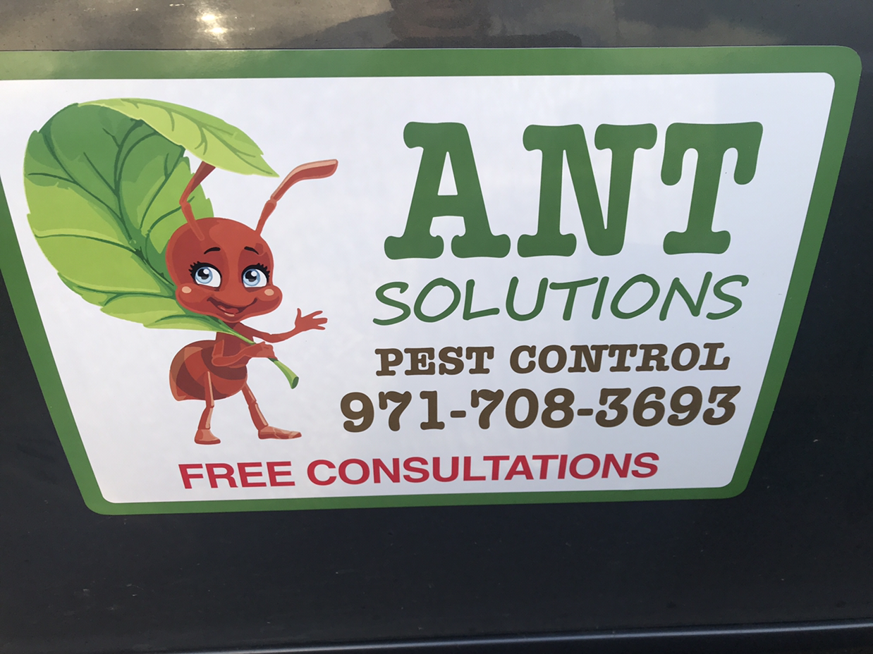 Contact Us Free Consultation Aspen Pest Control