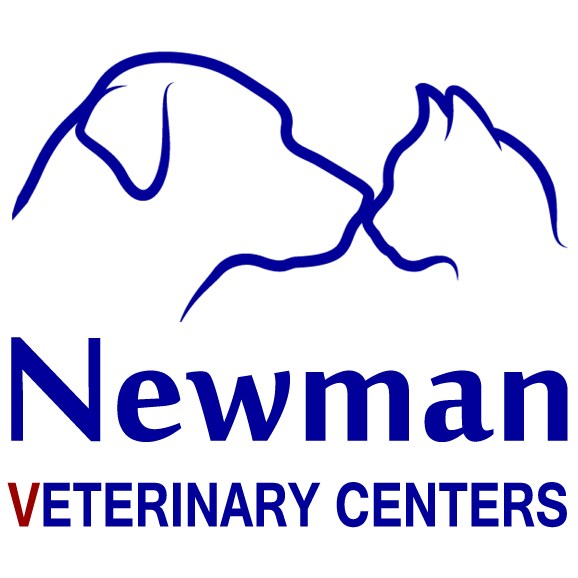 Newman Veterinary Center Reviews Daytona Beach, FL Angie's List