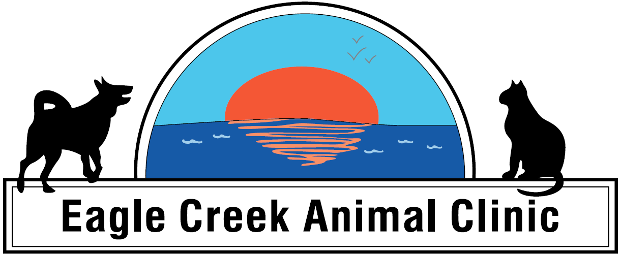 Eagle Creek Animal Clinic Reviews Indianapolis, IN Angie's List