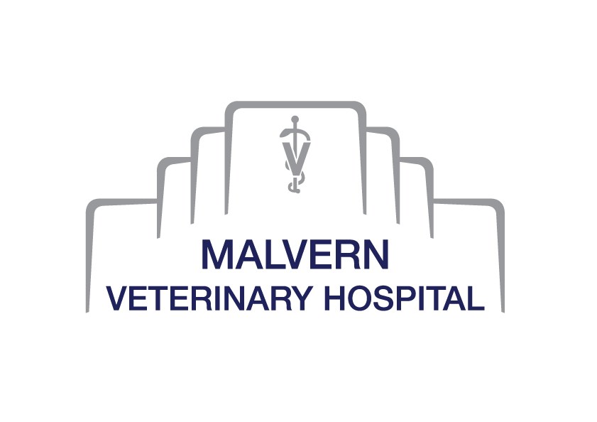 Veterinarian In Warwick Ny Country Willow Veterinary Hospital