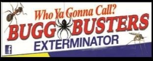 Anti Bugs Mosquito Termite Ant Etc A Vector Collection Of