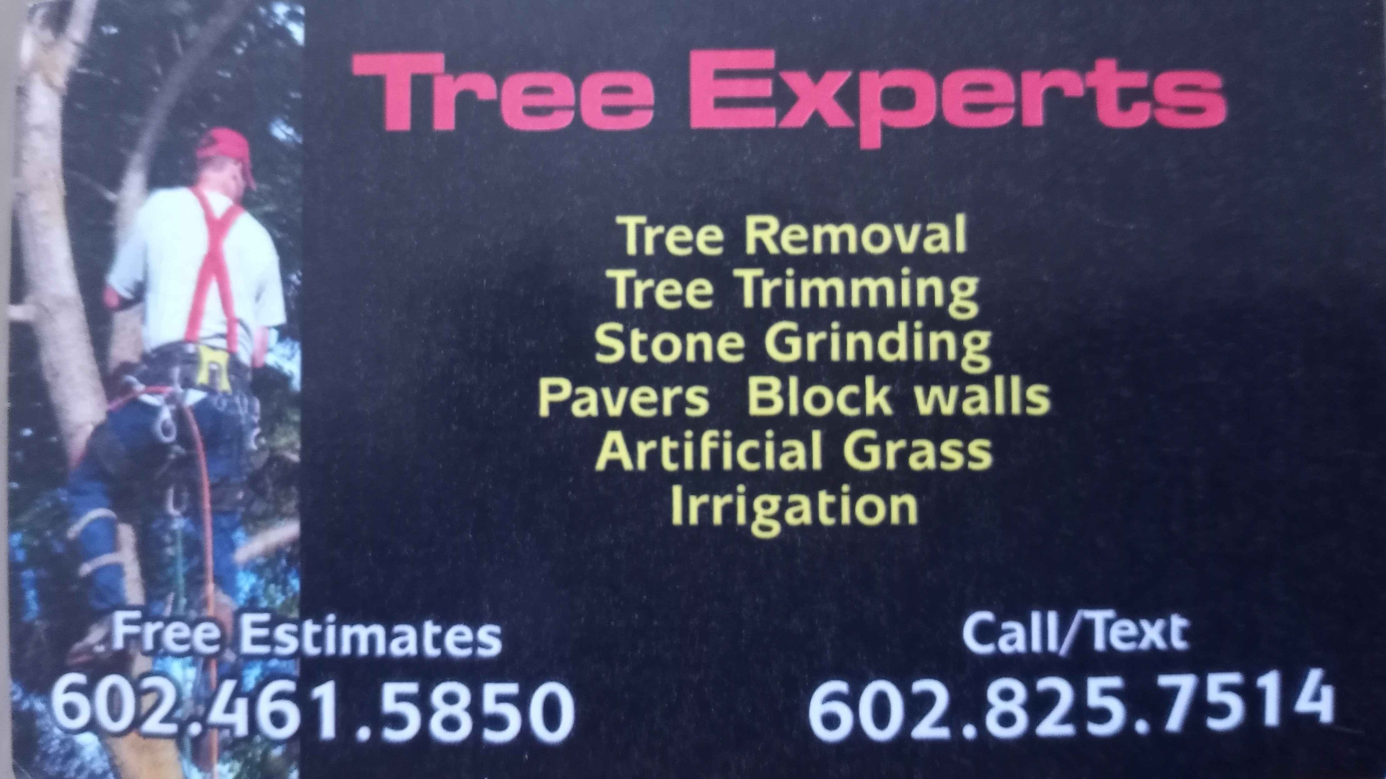 Top 10 Best Tree Removal Services in Phoenix AZ Angie's List