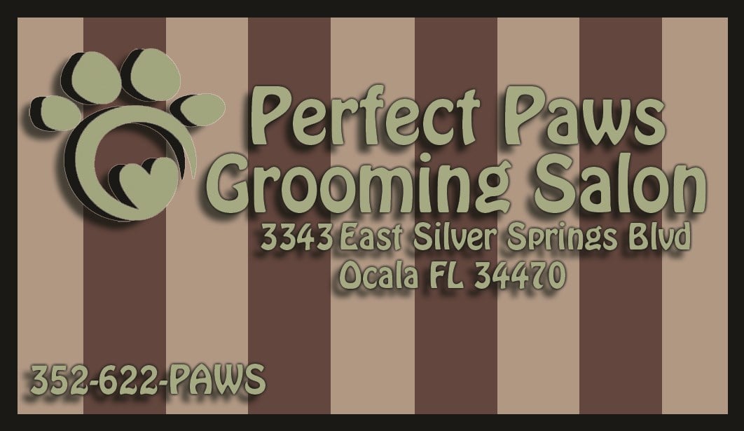 Top Best Dog Groomers In Inverness Fl Angie S List