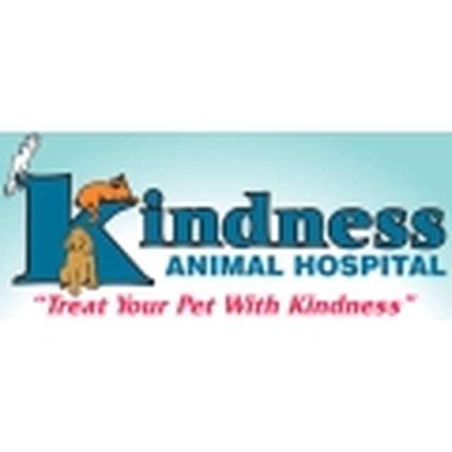 Kindness Animal Hospital East Reviews Cape Coral, FL Angie's List