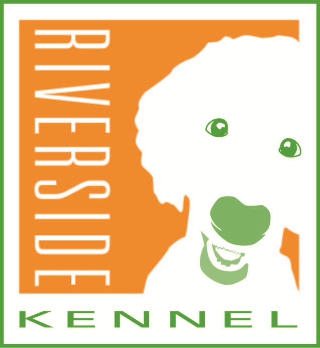 Top 10 Best Dog Groomers in Arlington TX Angie's List