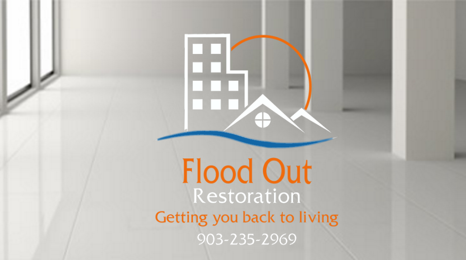 Top Best Carpet Cleaners In Diana Tx Angie S List