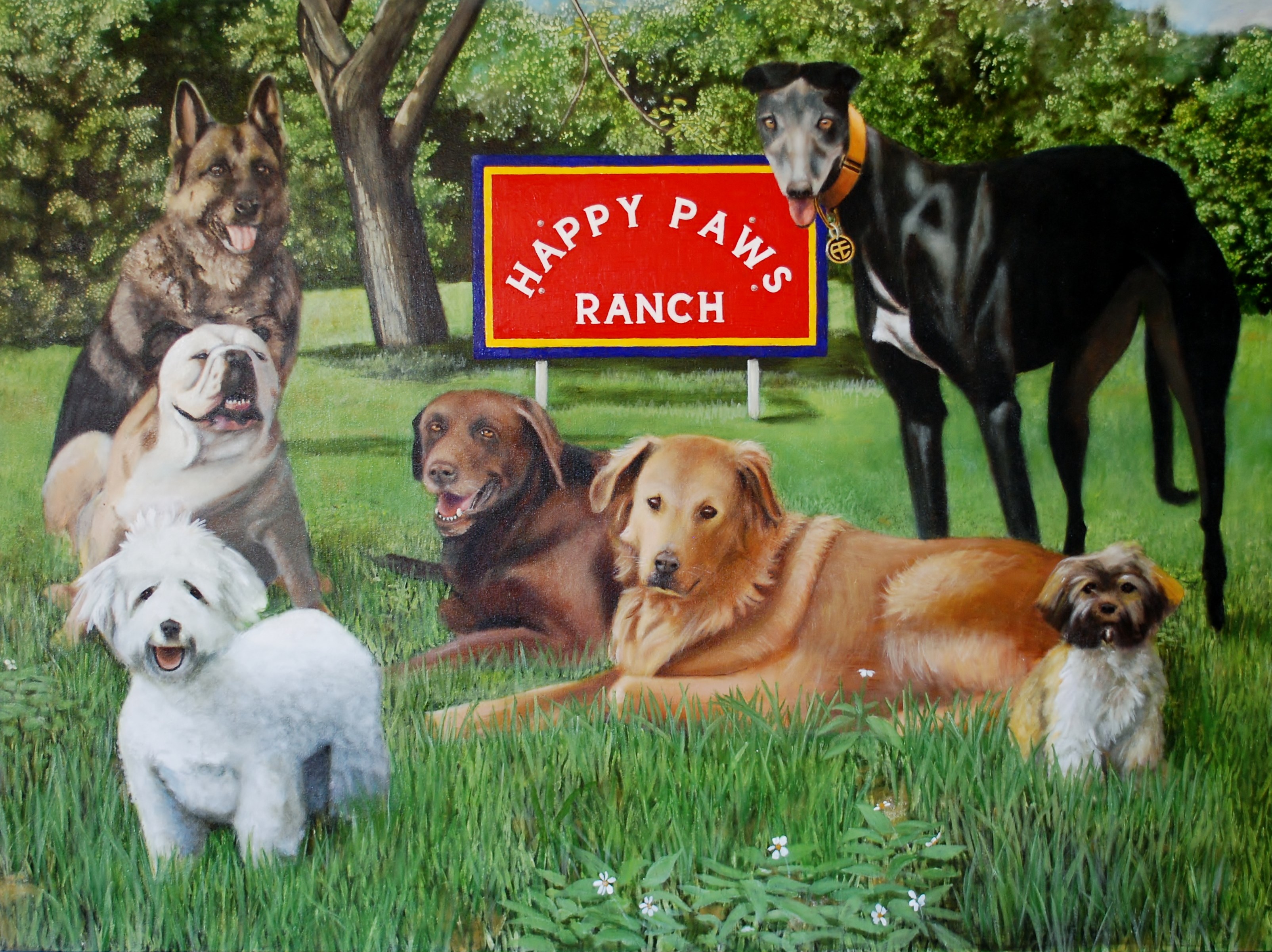 HAPPY PAWS RANCH Reviews Fort Myers, FL Angie's List