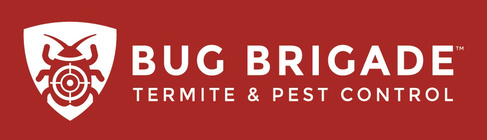 Top 10 Best Pest Exterminators In Bunnell Fl Angie S List