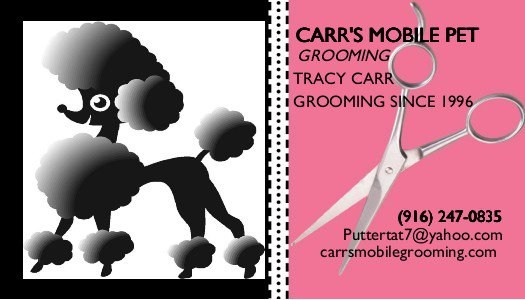 carms mobile grooming prices