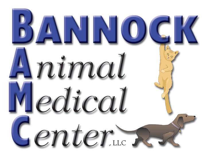 Bannock Animal Medical Center Reviews Pocatello, ID Angie's List