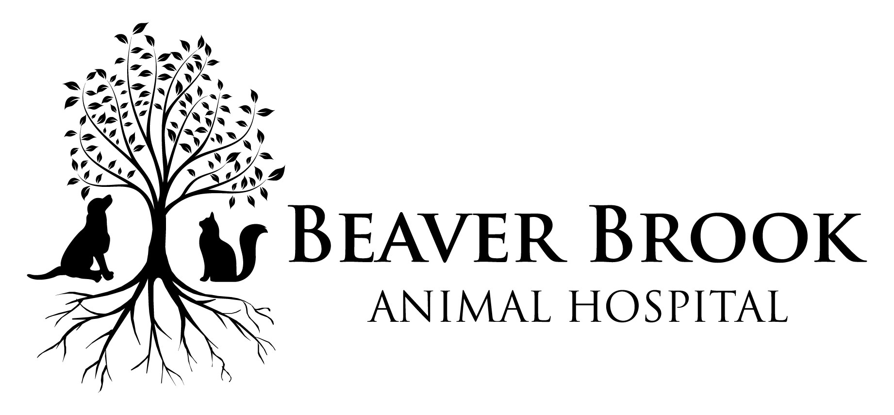 Beaver Brook Animal Hospital Reviews - Wethersfield, CT | Angie's List