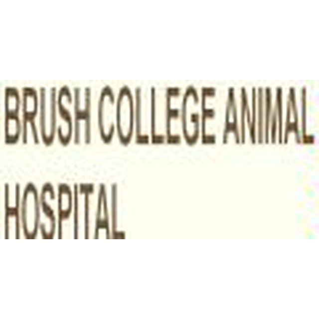 Top Best Veterinarians In Decatur Il Angie S List