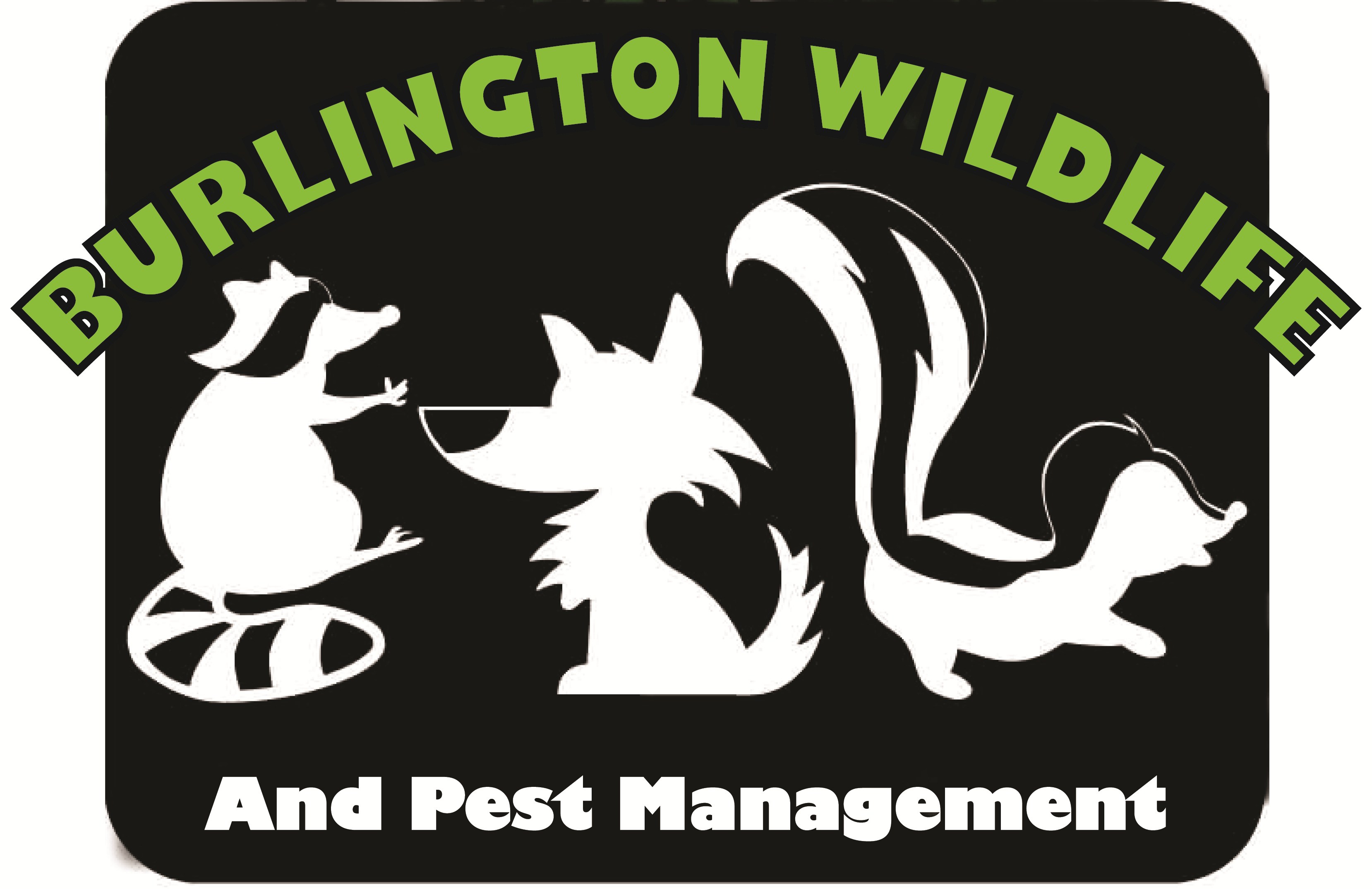 Burlington Wildlife & Pest Management Reviews Burlington, WI Angie