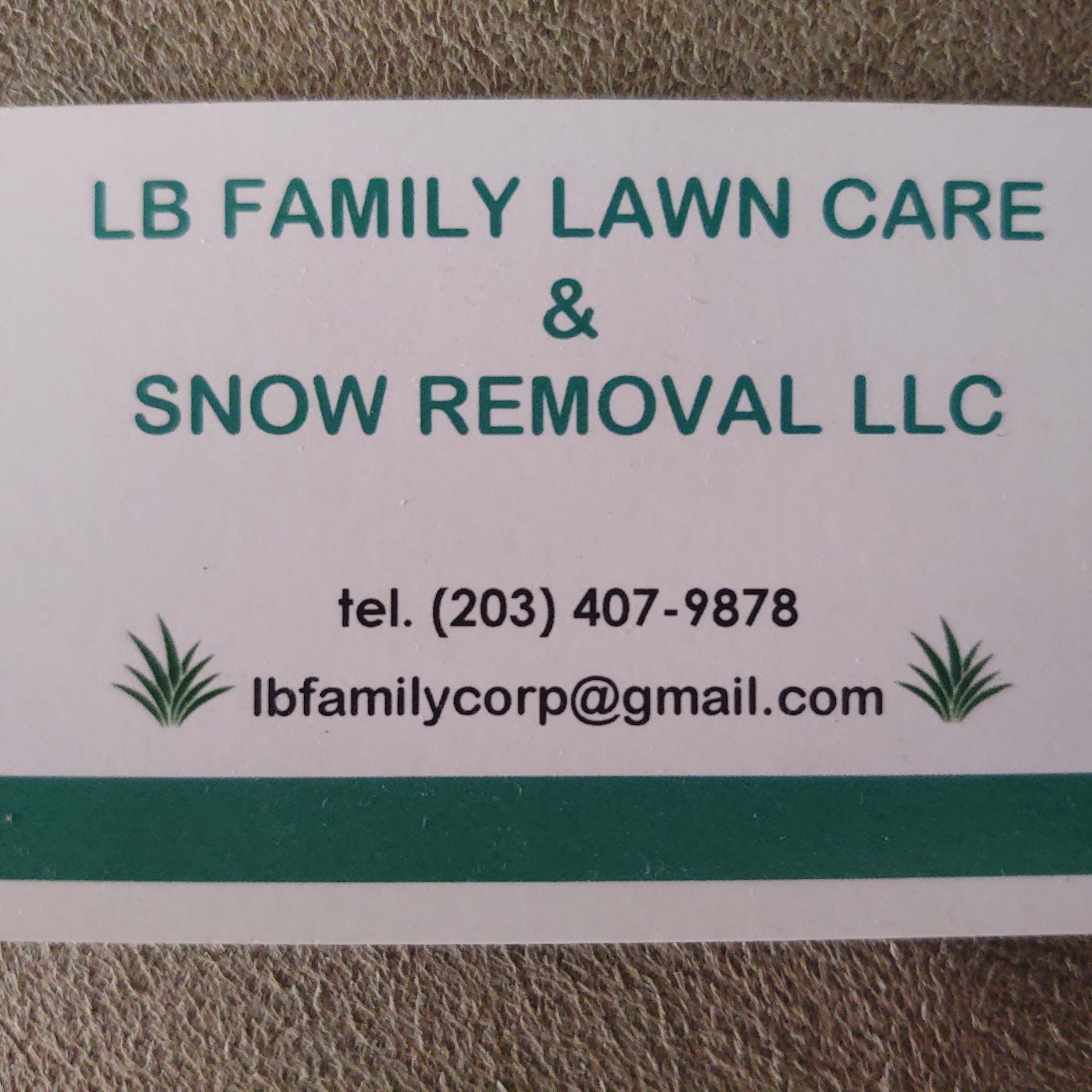 Top 10 Best Lawn Care Services in New Britain CT Angie's List