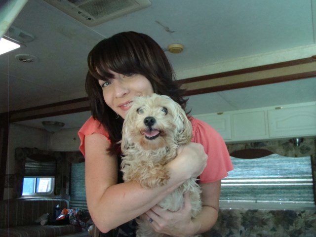 suncoast mobile pet grooming