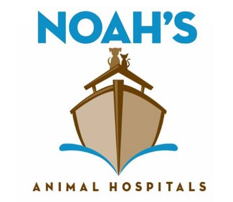 noah's emergency animal hospital