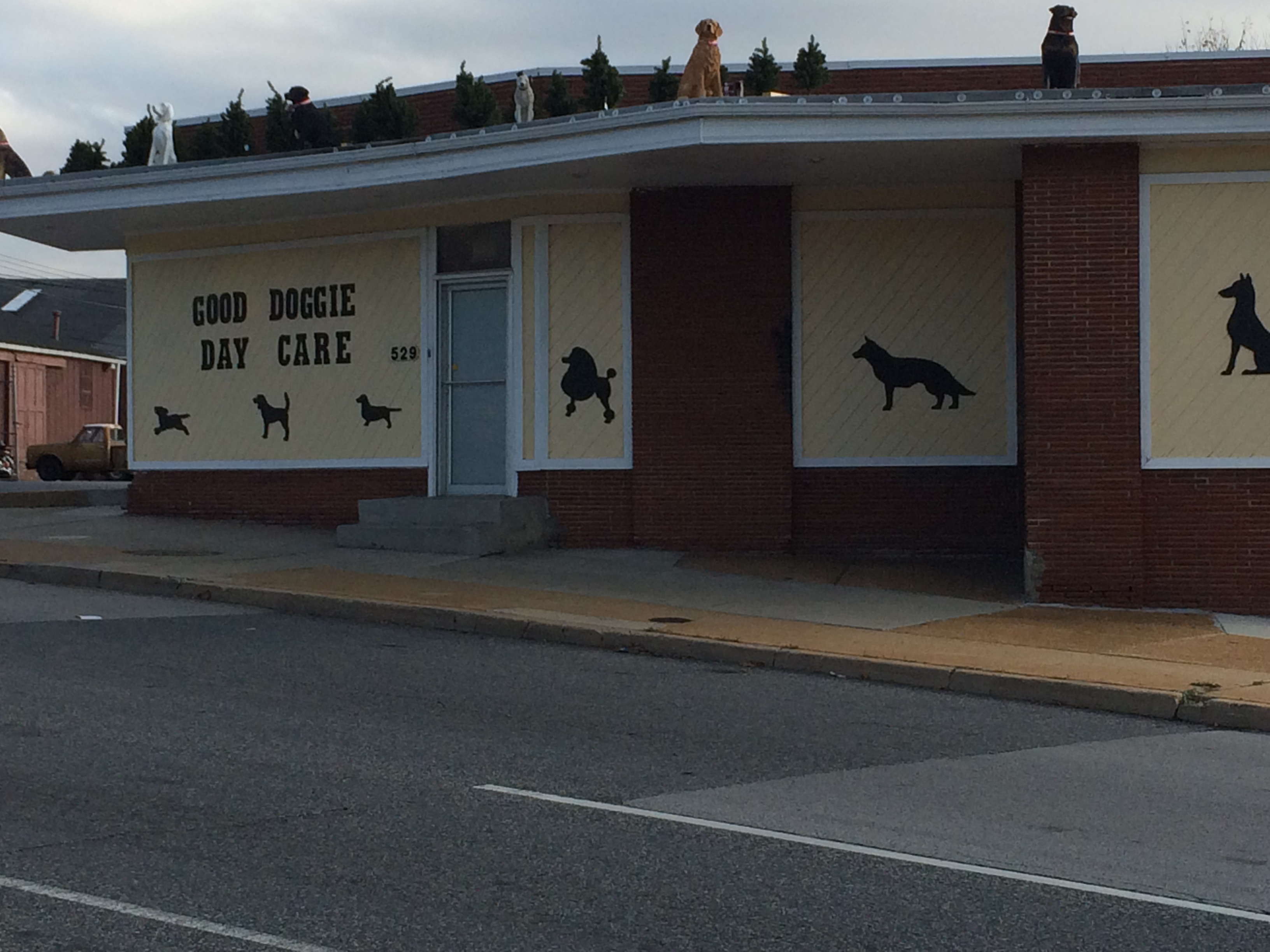 GOOD DOGGIE DAY CARE Reviews Baltimore, MD Angie's List