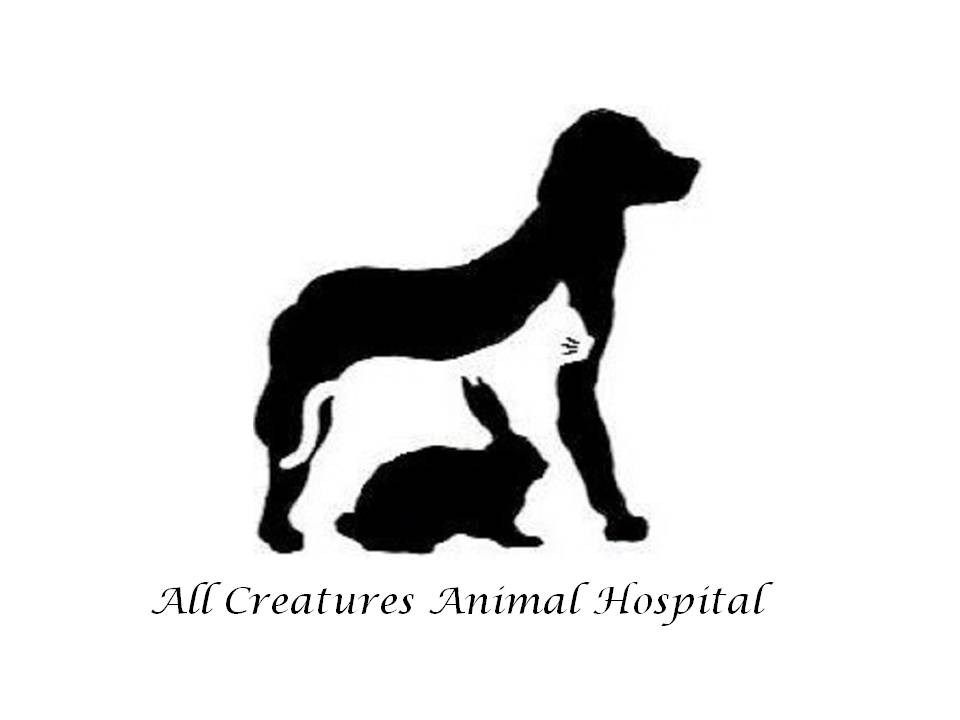 ALL CREATURES ANIMAL HOSPITAL Reviews Columbia, MO Angie's List