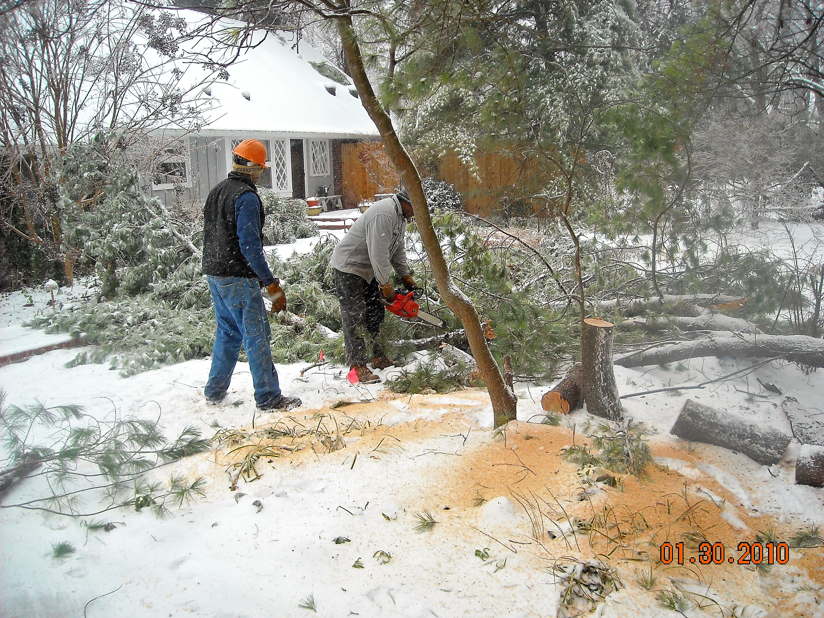 Roseboro's Treeworks Reviews Murfreesboro, TN Angie's List