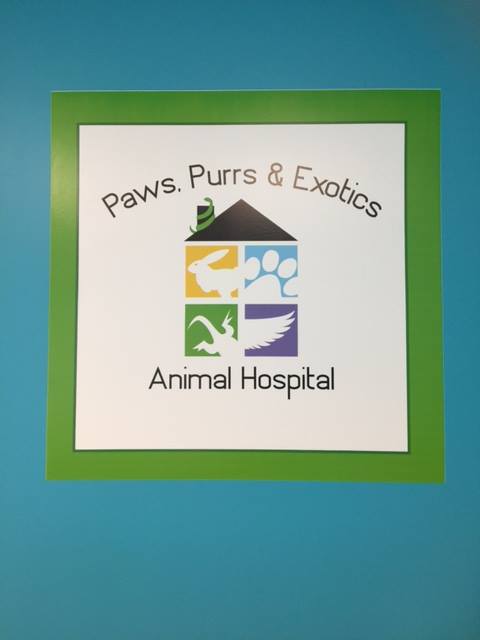 paws purrs and exotics animal hospital