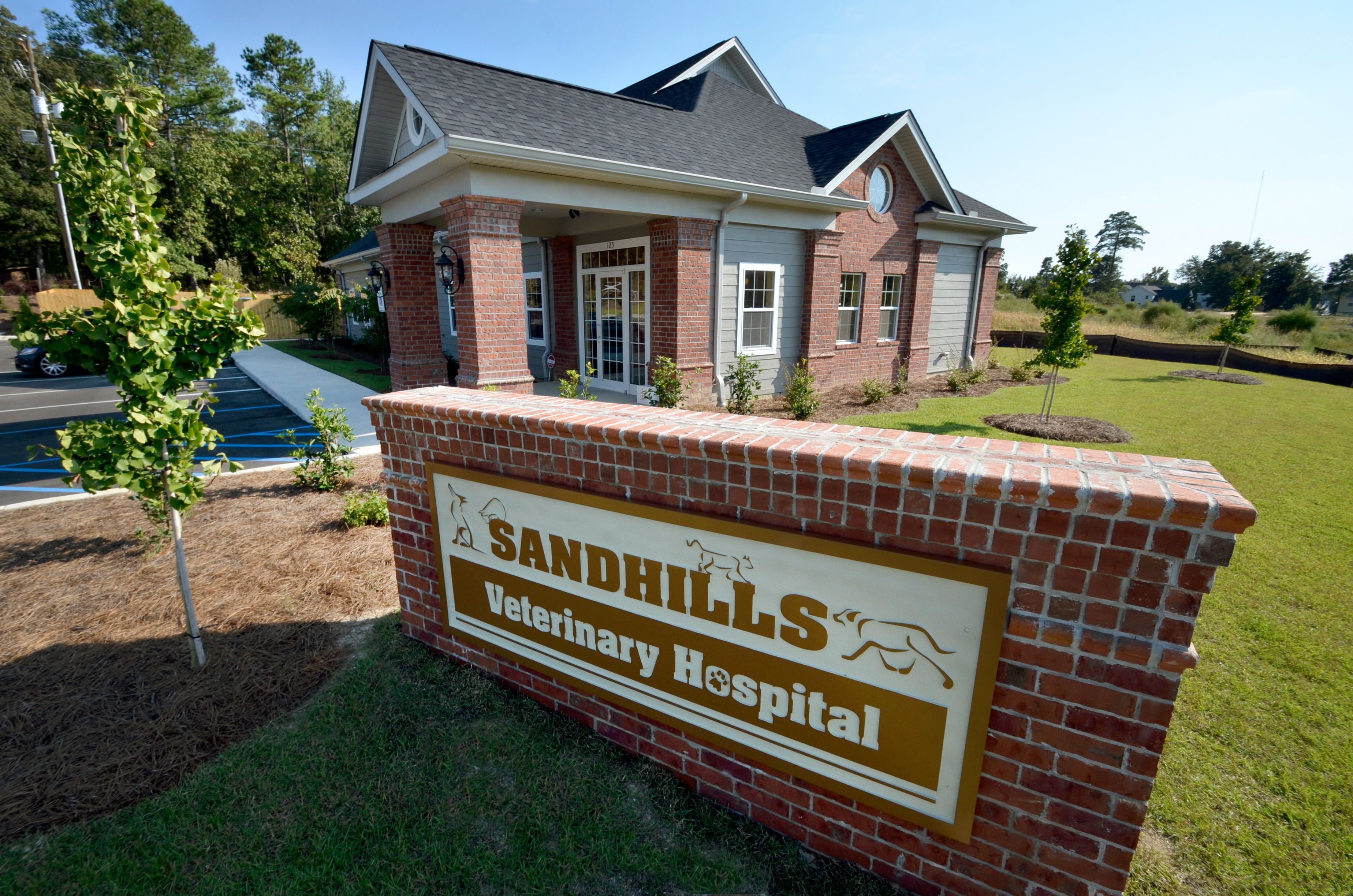 sandhill animal hospital