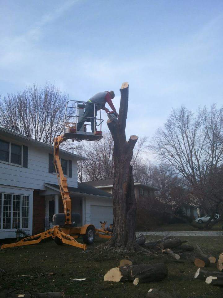 Top 10 Best Tree Removal Services in Ames IA Angie's List