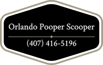 king charles spaniel rescue dogs