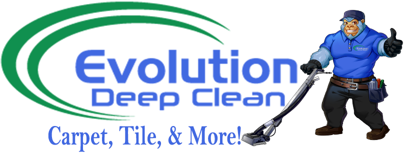 Top 6 Best Vacuum Cleaner Services In Orlando Fl Angie S List
