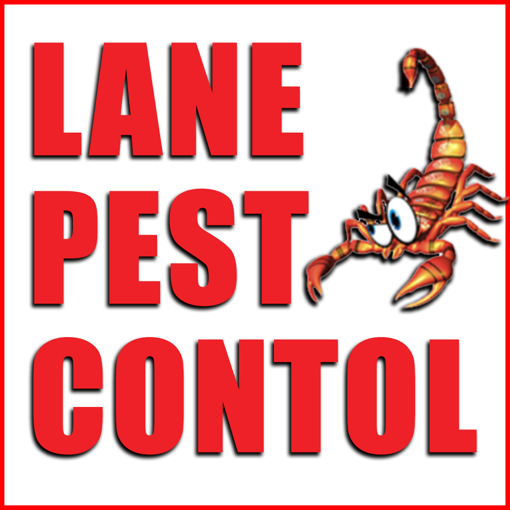 Top 4 Best Pest Exterminators in Bullard TX Angie's List