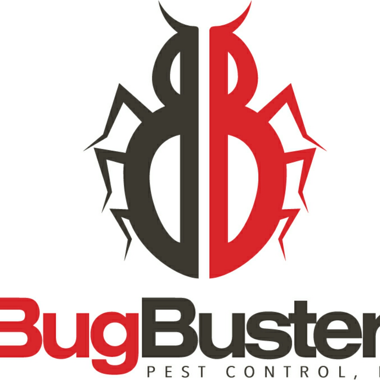 Bug Busters Pest Control LLC Reviews - San Antonio, TX ...