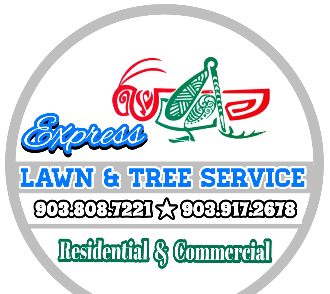 Express Lawn & Tree Service Reviews Kilgore, TX Angie's List