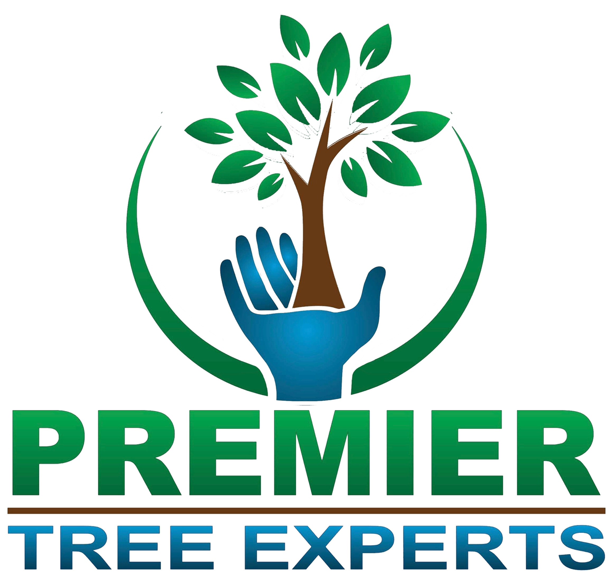 Top 10 Best Tree Removal Services In Orange County Ca Angie S List