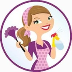 Top 10 Best Home Cleaning Services In Celebration Fl Angie S List