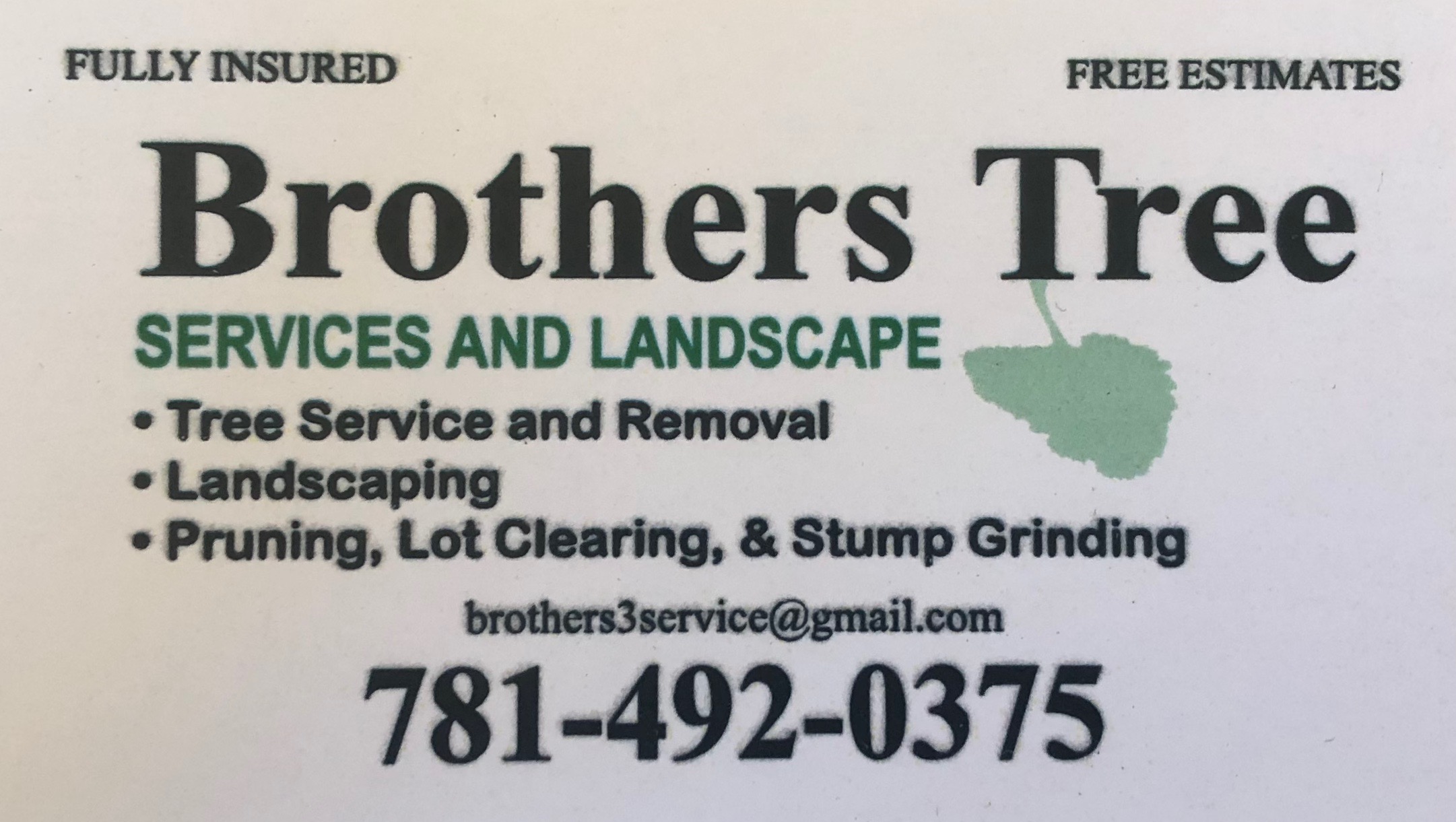 Brothers Tree Service Reviews RANDOLPH, MA Angie's List