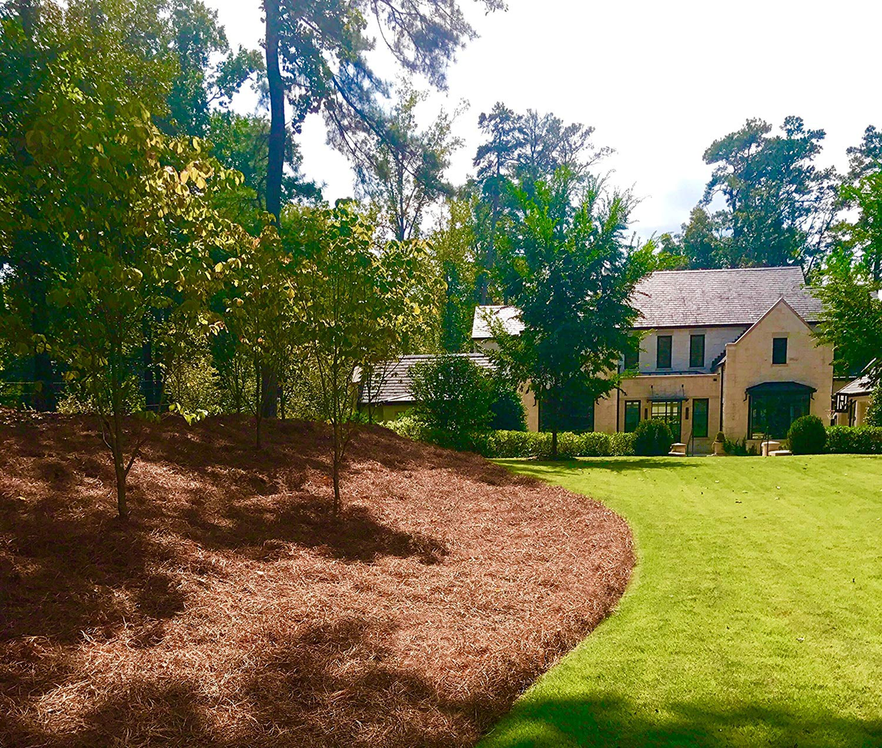 Top 2 Best Nurseries in Kernersville NC Angie's List