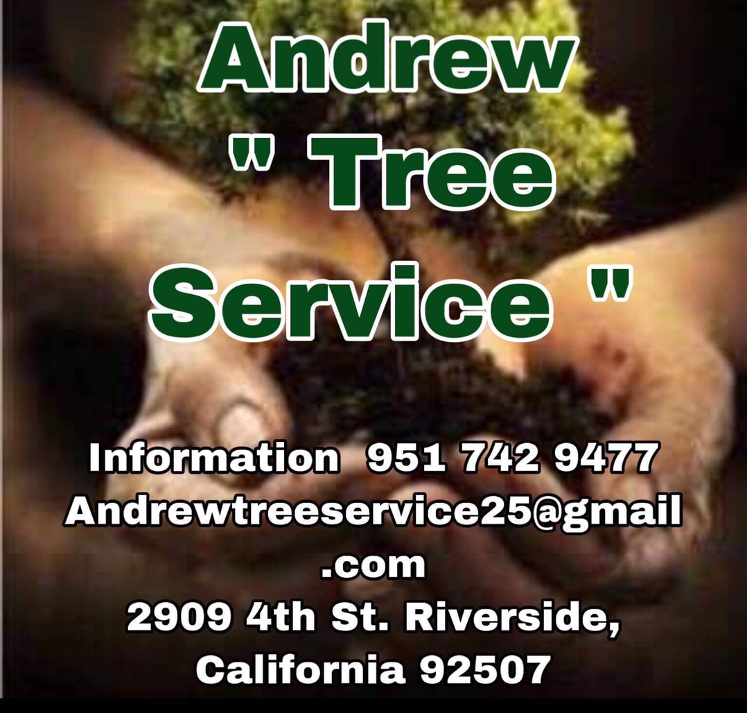 Andrew Tree Service and Landscaping Reviews Riverside, CA Angie's List